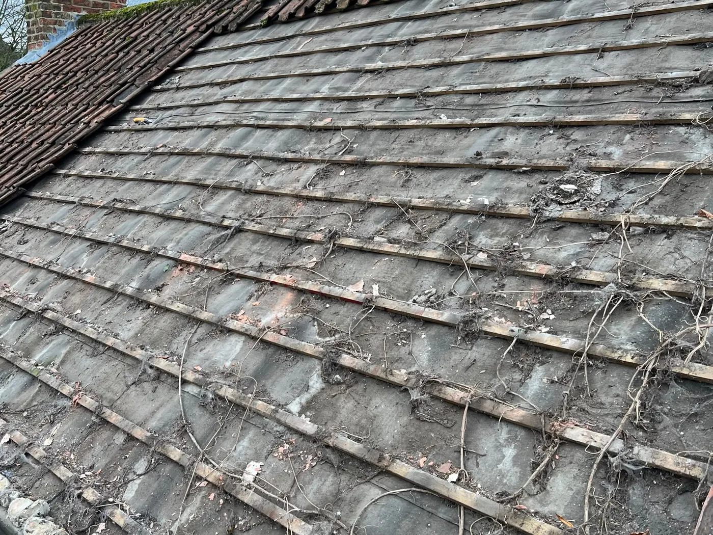 Stripped roof and battens