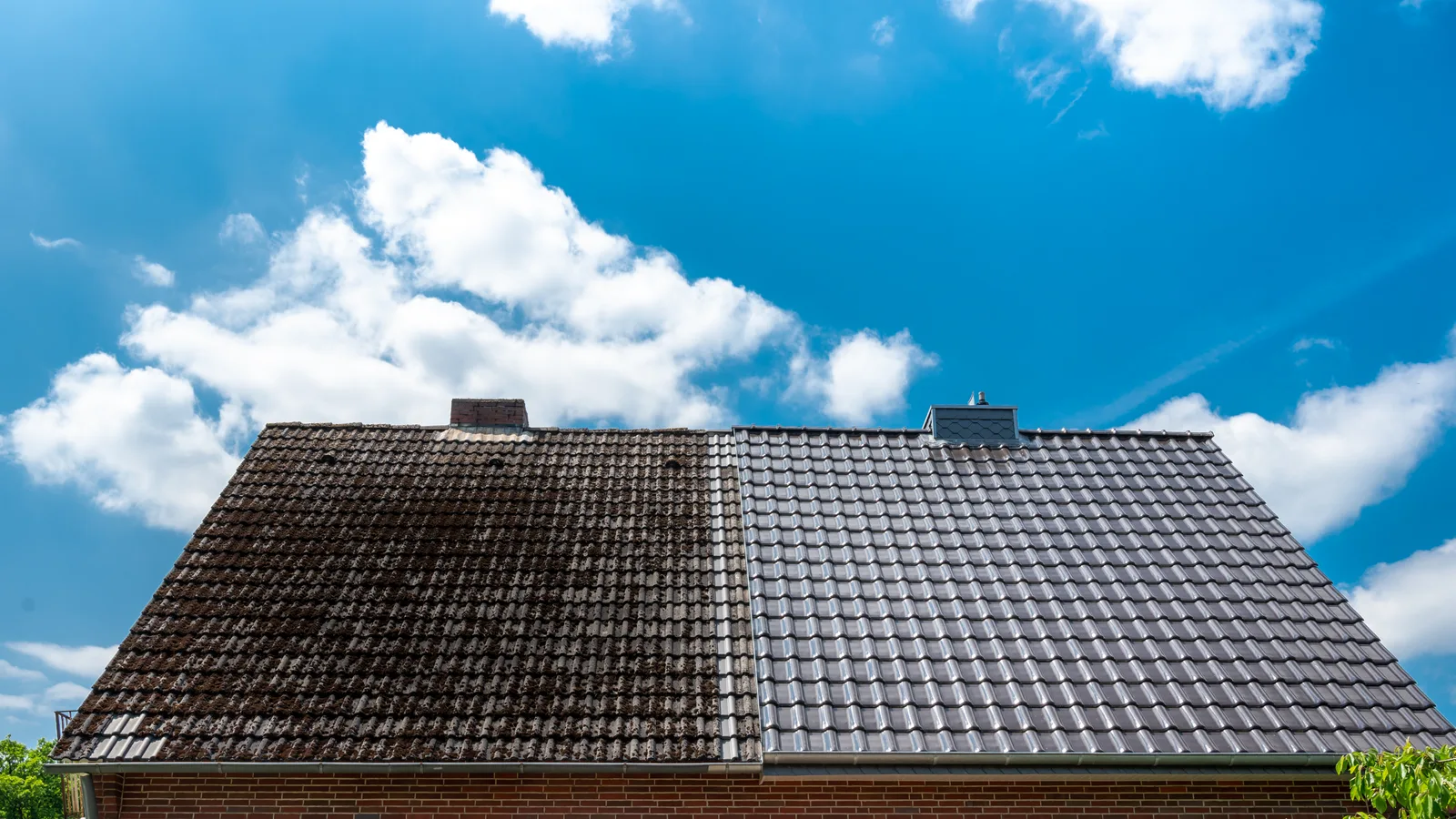 Roof Cleaning